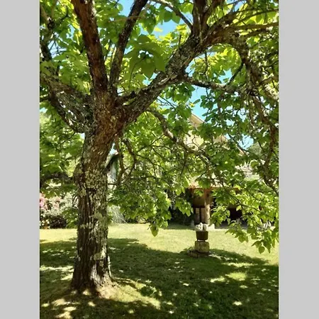 Maison De Charme Confortable Au Coeur De La Nature *