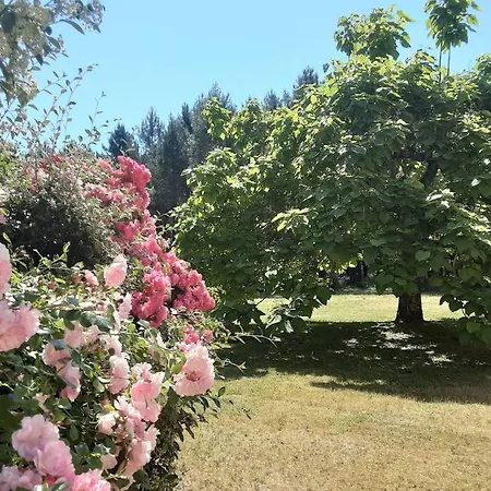 Maison De Charme Confortable Au Coeur De La Nature *