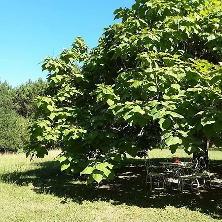 Maison De Charme Confortable Au Coeur De La Nature * Saint-Andre-de-Double